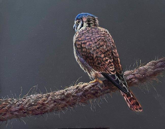 North America Pastel Artists Award ($200)